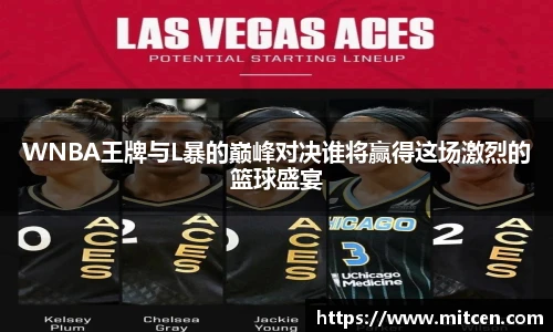 星空.综合体育官网