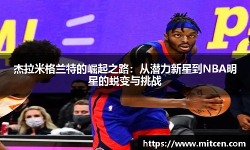 星空综合(中国)官方网站