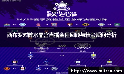 西布罗对阵水晶宫直播全程回顾与精彩瞬间分析
