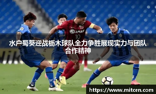 水户蜀葵迎战枥木球队全力争胜展现实力与团队合作精神